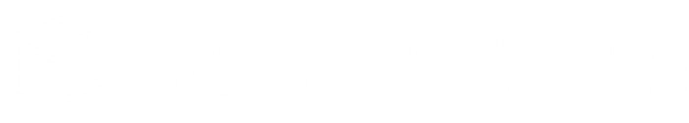 Raiola Networks
