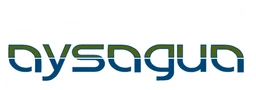 Aysagua