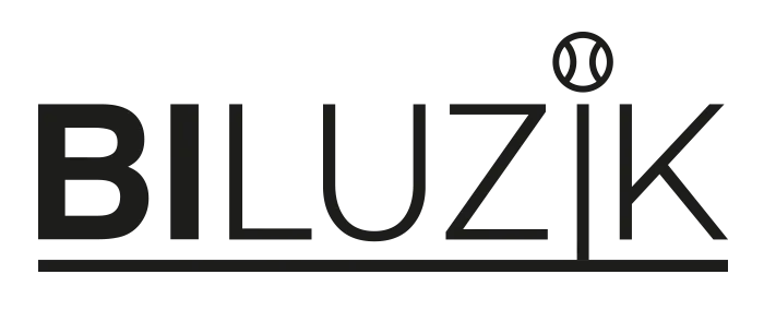 Biluzik