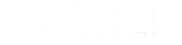 Qinux Pixgo 4K