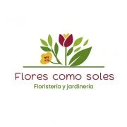 Flores Como Soles