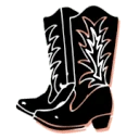 Botas Cowboy
