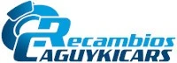 Caguykicars Recambios