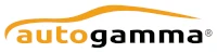 Auto Gamma