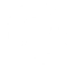 Death or Glory Collective