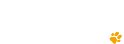 Crazy Pet