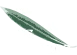 Aceite de Las Valdesas