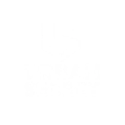 UrbanSecret