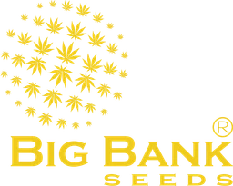 Bigbankseed