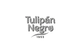 Tulipán Negro