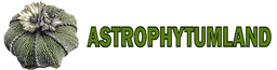 Astrophytumland