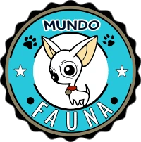 Mundo Fauna