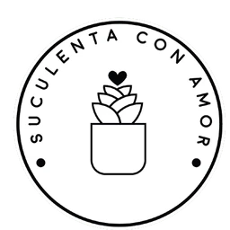 Suculenta con Amor
