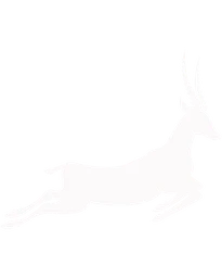 Gazelle Studio