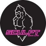 Sculpt Your Life