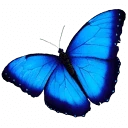 Dimension Distinta