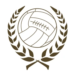 Odio el Fútbol Moderno