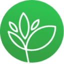 Mis Plantas Artificiales