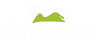 Ciclos Artia