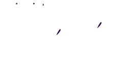 La Verdadera