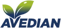Avedian