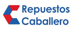 Repuestos y Electrodomésticos Caballero