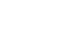 SVAN Electro
