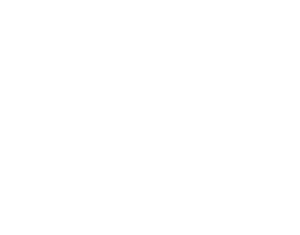 Supreme Style