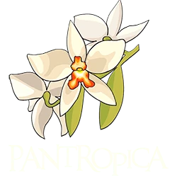 Pantropica