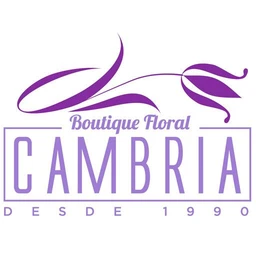 Cambria