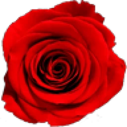 Mil Rosas Bilbao