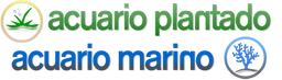 Acuario Plantado