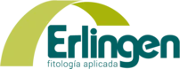 Erlingen