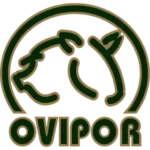 Ovipor