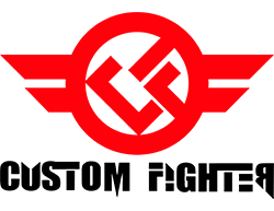 Custom Fighter