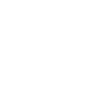 Patricia Agente Comercial