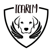Icarem