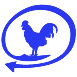 Calzados El Gallo