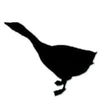 Tel·lúric