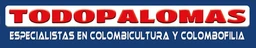 JPJ Palma - TodoPalomas