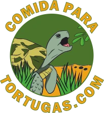 Comida para Tortugas