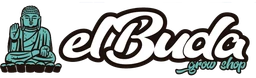 Buda
