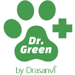 Dr. Green