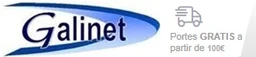 Galinet Informatica