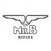 Mister B