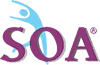Siliciosoa