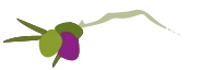 Olivar de la Atalaya