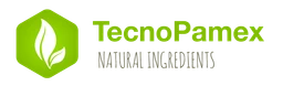 TecnoPamex