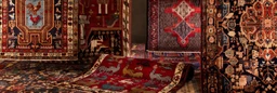 Rugvista