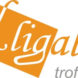 Lligall